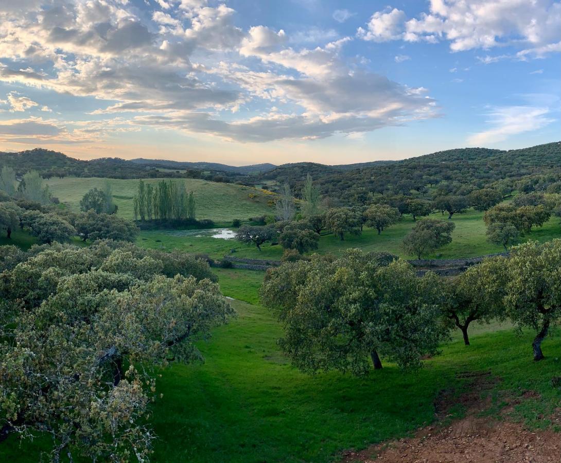 La Siesta Del Naranjo Βίλα Monesterio Εξωτερικό φωτογραφία