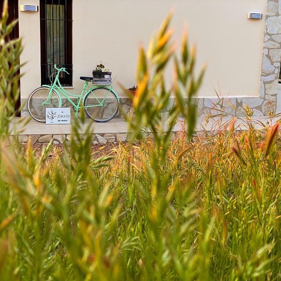 La Siesta Del Naranjo Βίλα Monesterio Εξωτερικό φωτογραφία