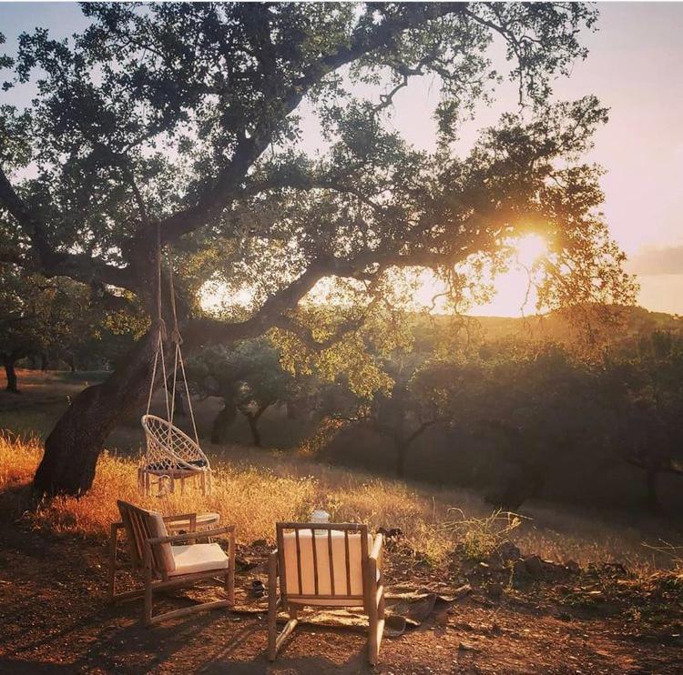 La Siesta Del Naranjo Βίλα Monesterio Εξωτερικό φωτογραφία